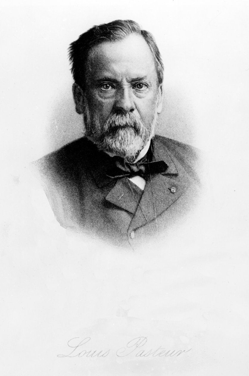 Louis Pasteur (1822-95) tekijältä English School