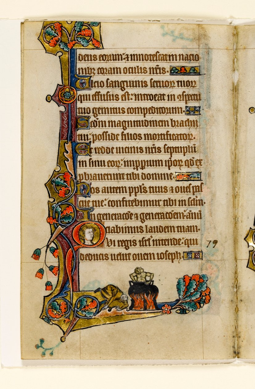 MS 1-2005, fol. 116v: Cauldronissa, marginaalinen koristelu Macclesfield Psalterista, Use of Sarum, East Anglia, n. 1330 tekijältä English School