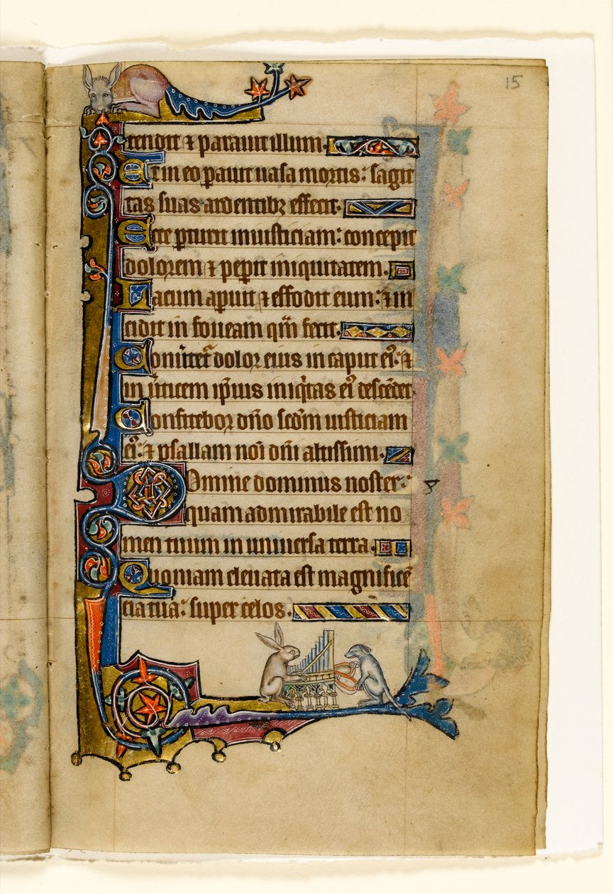 MS 1-2005, fol. 15r: Jänis ja koira soittamassa urkuja, marginaalinen koristelu Macclesfield Psalterista, Use of Sarum, East Anglia, n. 1330 tekijältä English School