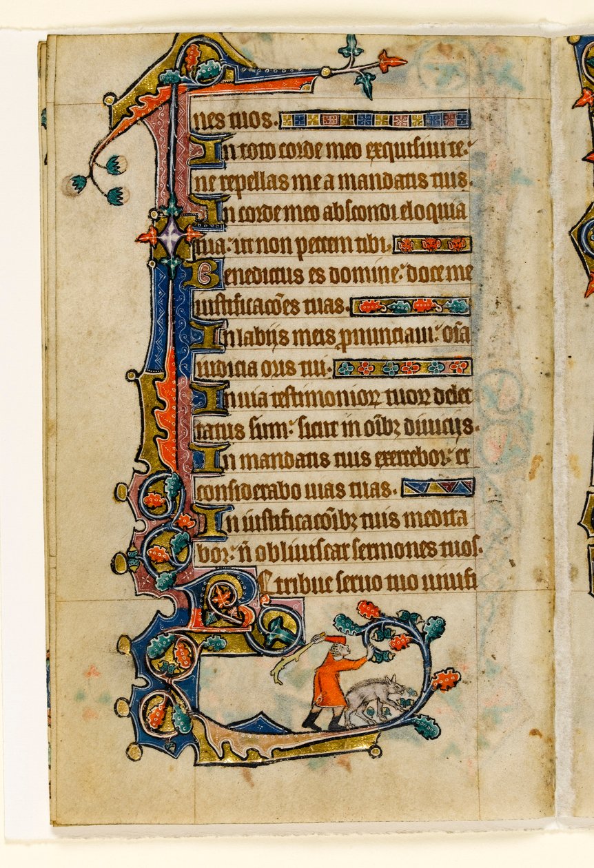 MS 1-2005, fol. 170v: Sikapaimen kaatamassa tammenterhoja sikalle, marginaalinen koristelu Macclesfield Psalterista, Use of Sarum, East Anglia, n. 1330 tekijältä English School