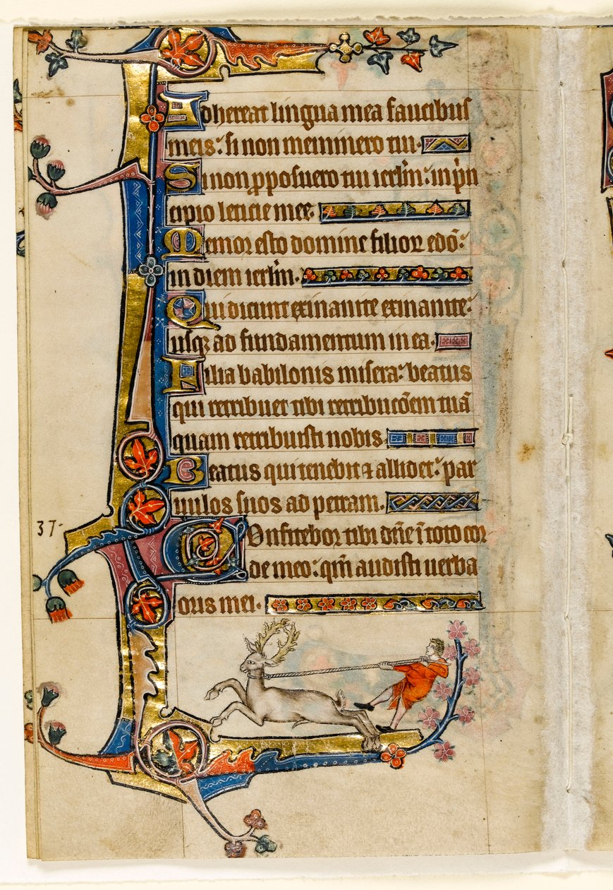 MS 1-2005, fol. 193v: Miehen lassoima polttare, marginaalinen koristelu Macclesfield Psalterista, Use of Sarum, East Anglia, n. 1330 tekijältä English School