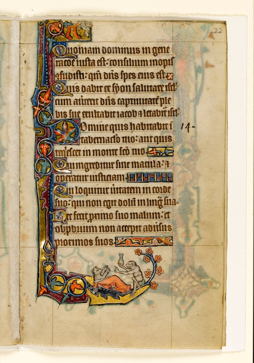 MS 1-2005, fol. 22r: Apinalääkäri ja hänen karhupotilaansa, marginaalinen koristelu Macclesfield Psalterista, Use of Sarum, East Anglia, n. 1330 tekijältä English School