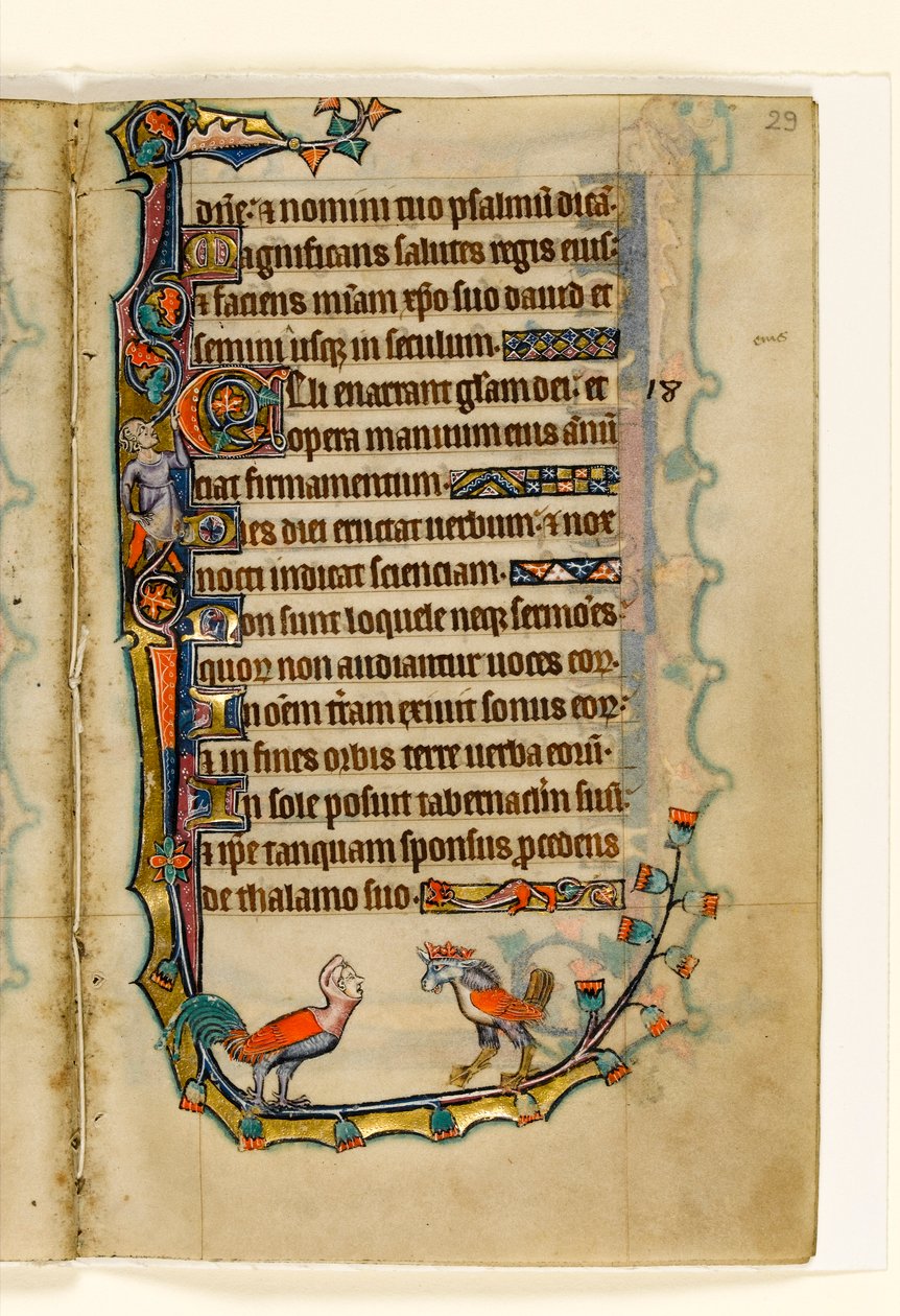 MS 1-2005, fol. 29r: Two Bird like grotesques, marginaalinen koristelu Macclesfield Psalterista, Use of Sarum, East Anglia, n.1330 tekijältä English School