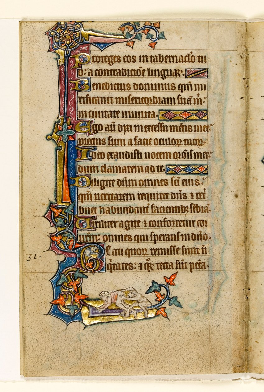 MS 1-2005, fol. 45v: Mans Bottomissa kurkistava apina, marginaalinen koristelu Macclesfield Psalterista, Use of Sarum, East Anglia, n. 1330 tekijältä English School