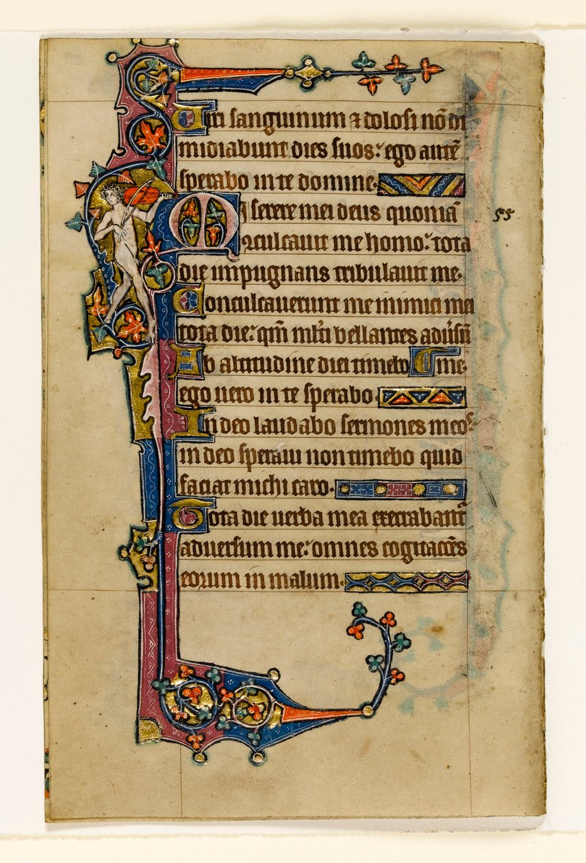 MS 1-2005, fol. 80v: Alaston muusikko, marginaalinen koristelu Macclesfield Psalterista, Use of Sarum, East Anglia, n. 1330 tekijältä English School