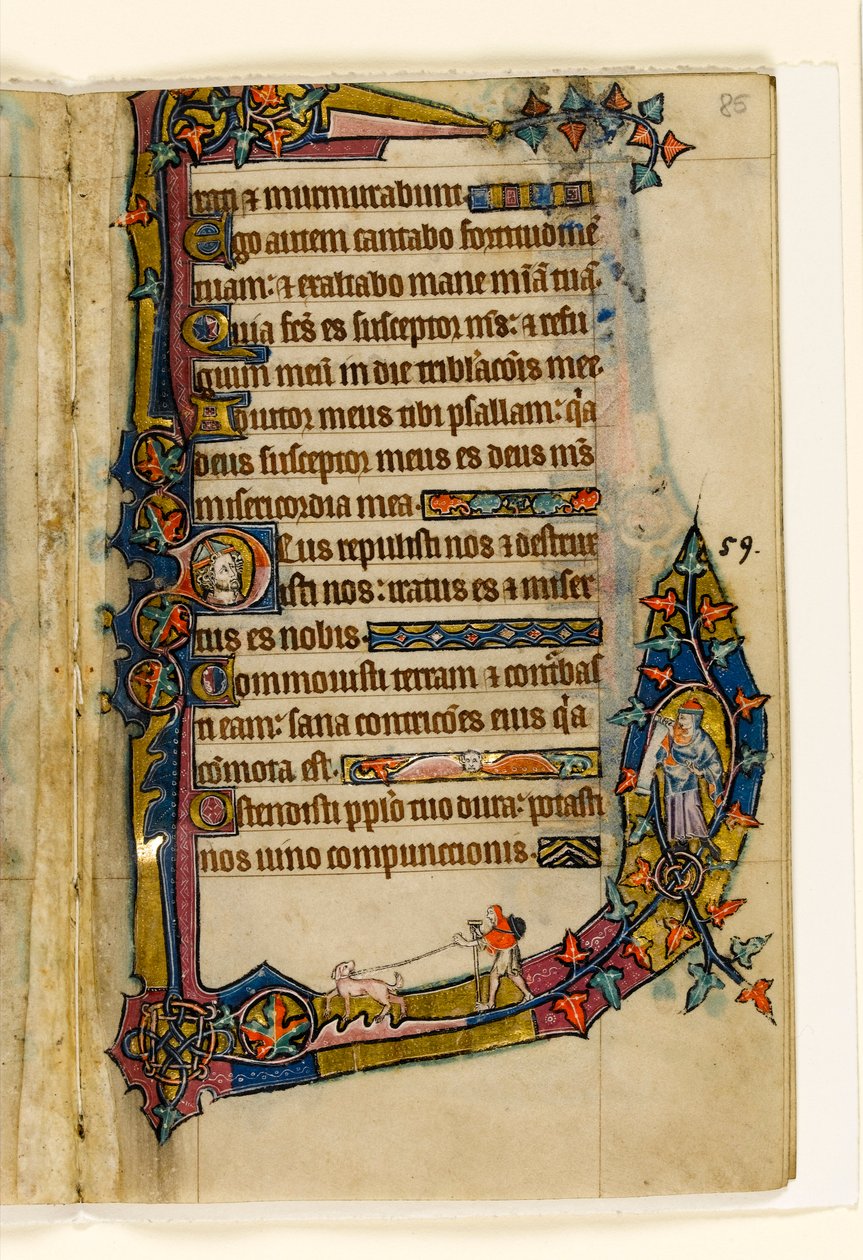 MS 1-2005, fol. 85r: Katuvainen koiran kanssa, marginaalinen koristelu Macclesfield Psalterista, Use of Sarum, East Anglia, n.1330 tekijältä English School