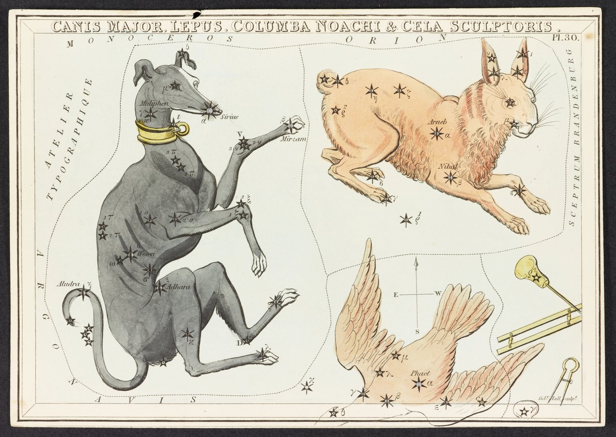 Kartat C.44.A.42 Canis Major Lepus, Urania
