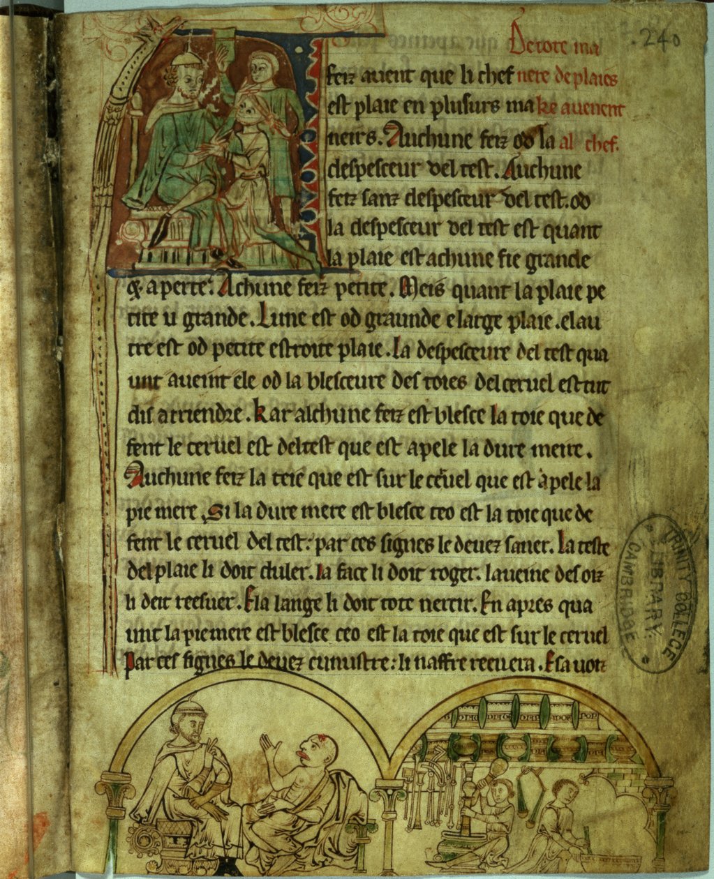 Ms.O.1.20.f.241v Jerome: Potilaan luona vieraileva lääkäri ja apteekki, De Nominibus Herbraicisista (vellum) tekijältä English School