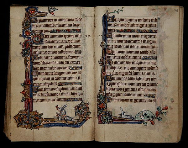 Ms 1-2005, ff.115v-116r: metsästävä kani ratsastaa koiran selässä, marginaalinen koristelu Macclesfield Psalterista, Use of Sarum, East Anglia, n. 1330 (vellum) tekijältä English School