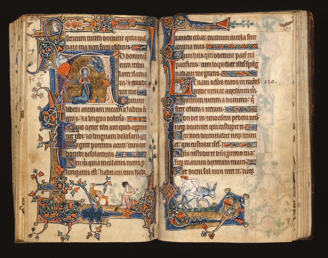 Ms 1-2005, ff.182v-183r: David rukoilee, historiallinen alkukirja Macclesfield Psalterista, Use of Sarum, East Anglia, n. 1330 tekijältä English School