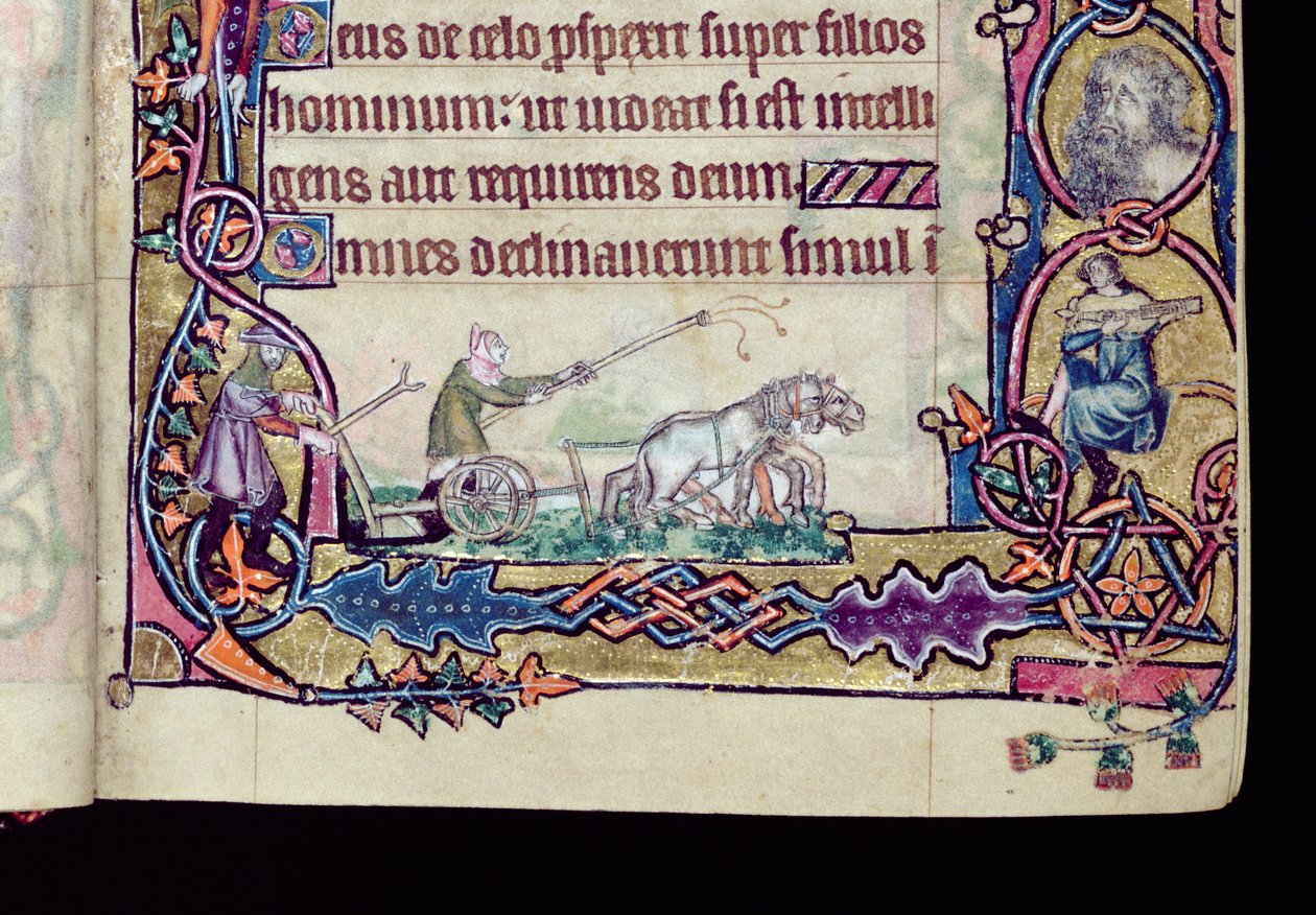 Ms 1-2005, ff.76v-77r: David and the fool, historiallinen alkukirja Macclesfield Psalterista, Use of Sarum, East Anglia, n. 1330 (vellum) (yksityiskohta numerosta 276994) tekijältä English School