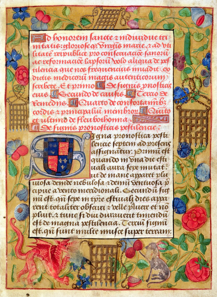 Ms 261 fol.1r sivu latina- ja englanninkielisten ruttotraktaattien kokoelmasta, n. 1500 tekijältä English School
