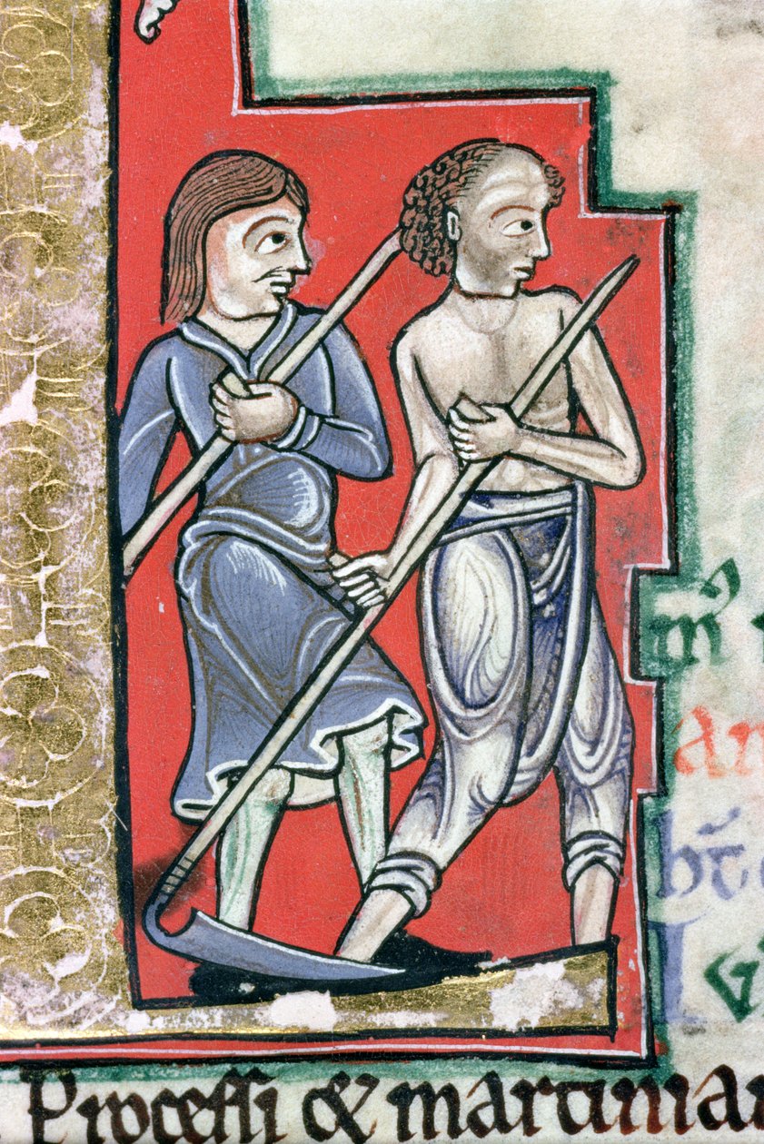 Ms Hunter 229 f.4r Mowing, Hunterian Psalter, n. 1170 (kynä & muste ja tempera perunakalvolla) (yksityiskohta) tekijältä English School