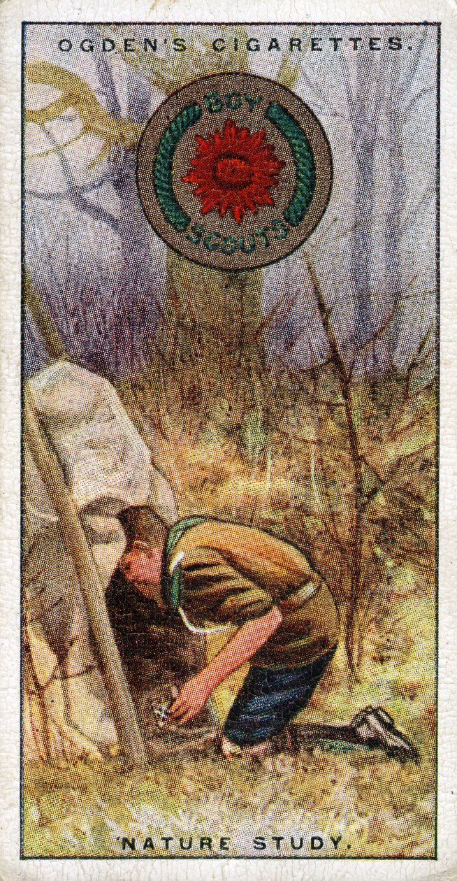 Luontotutkijan partiomerkki, partiolainen astumassa piiloon, 1929 tekijältä English School