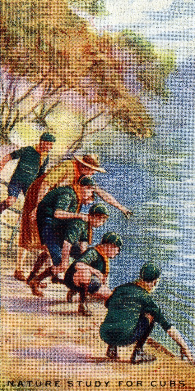 Luontotutkimus pennuille, 1929 tekijältä English School