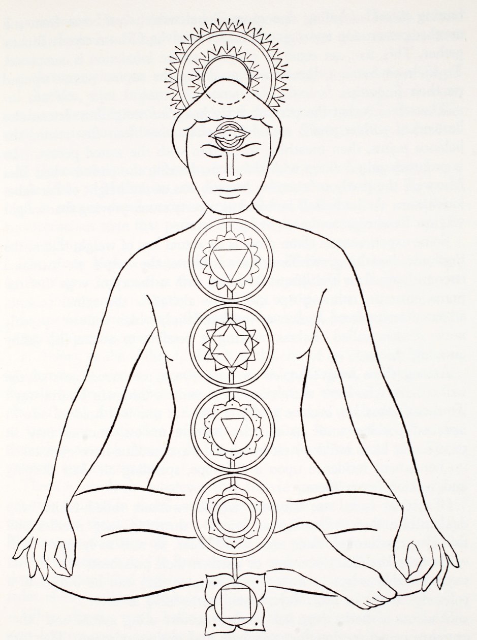 Padmasana tai lootusasento tekijältä English School