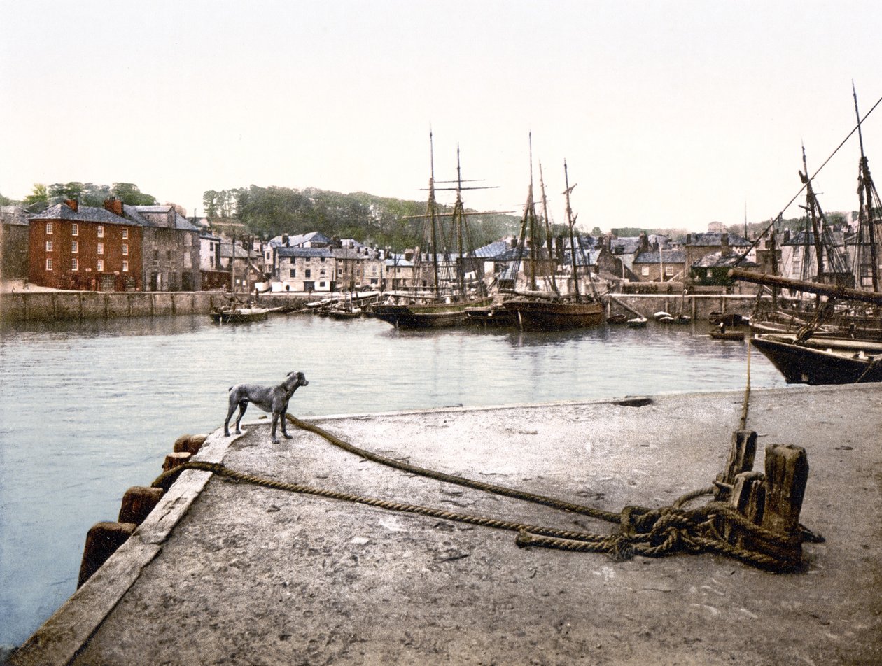 Padstow Quay (käsinvärinen valokuva) tekijältä English School