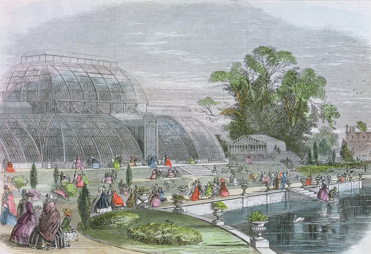 Palm House, Kew (kaiverrus) tekijältä English School
