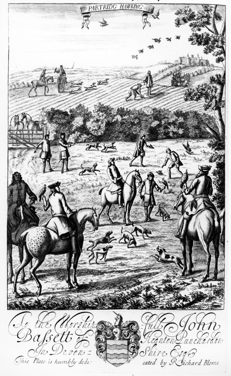 Partridge Hawking, kirjasta 