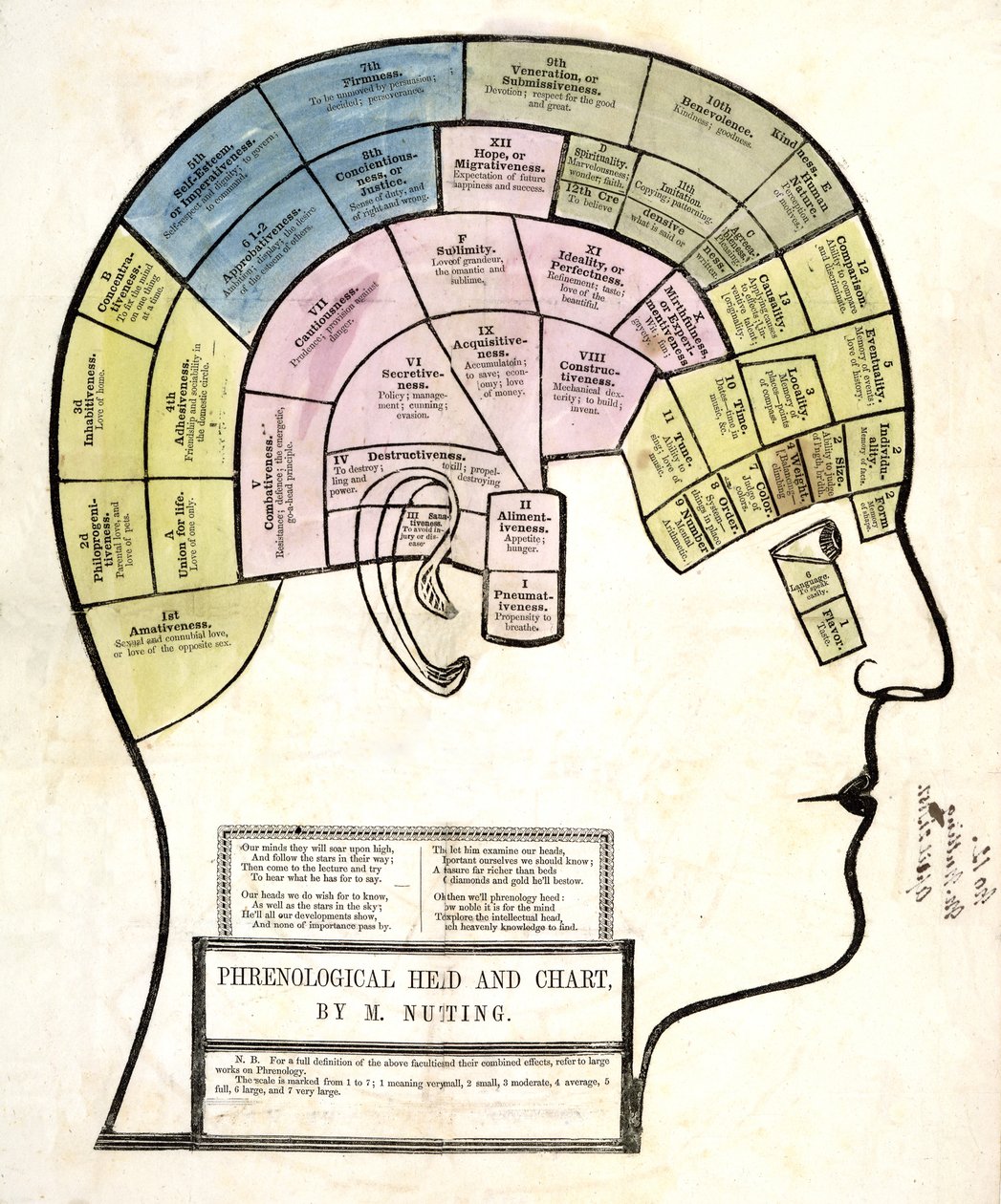 Phrenological Head and Chart, pub. 1857 (väri litho) tekijältä English School