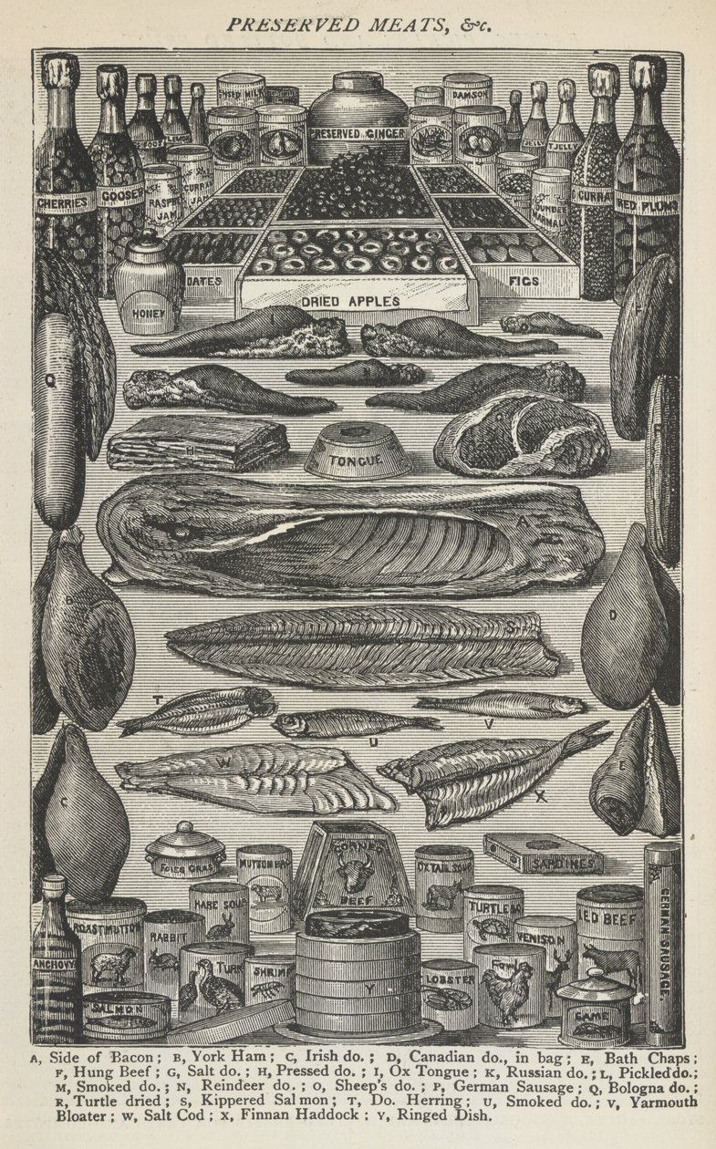 Preserved Meats, "Beeton
