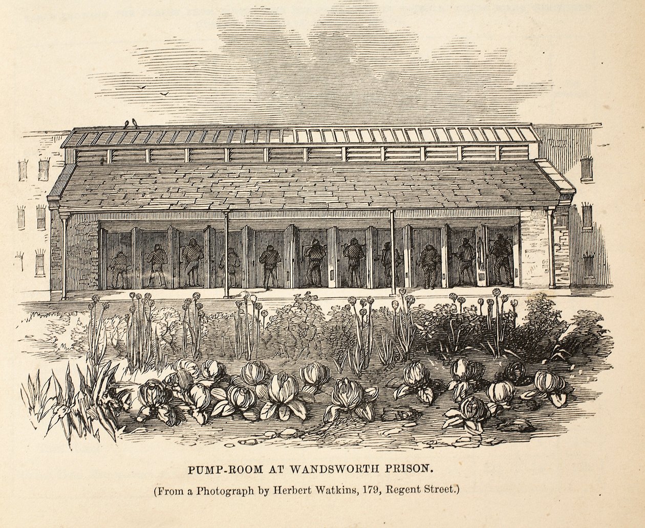 Pumppuhuone Wandsworth Prisonissa, kuvitus Lontoon rikosvankiloista ja Henry Mayhew