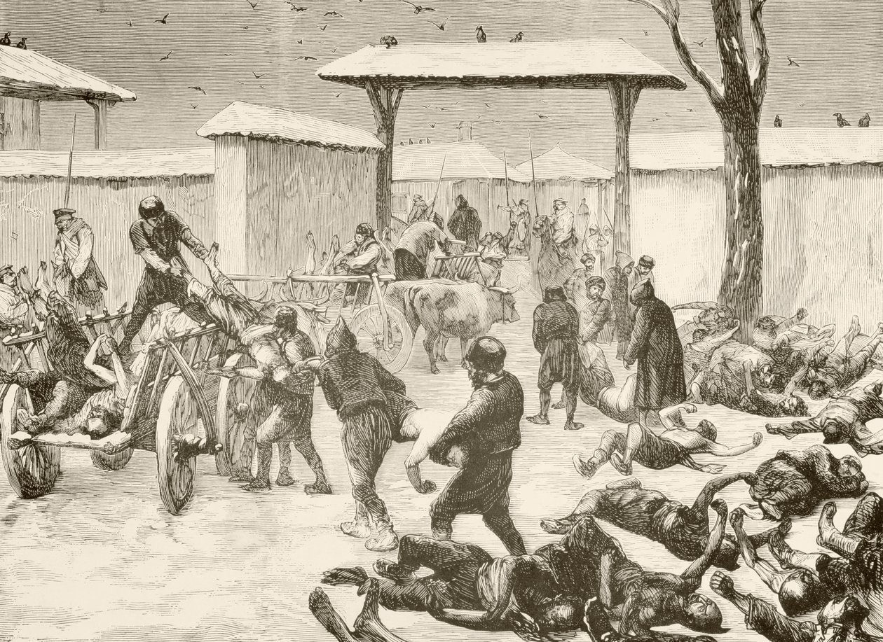 Kuolleiden palauttaminen Plevnan piirityksen jälkeen, Bulgariassa vuonna 1877 (litho) tekijältä English School