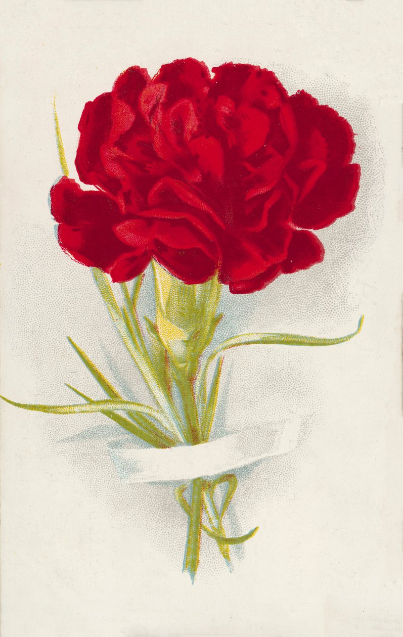 Punainen neilikka (chromolitho) tekijältä English School