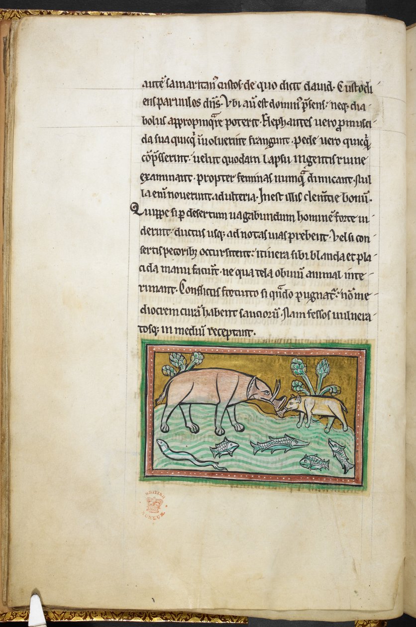 Royal 12 F.XIII, f.13v Yksi iso ja yksi pieni norsu purossa, joka on täynnä kaloja.  Bestiary (ff. 3-141), Lapidary (ff. 141v-149)  1200-luvun toinen neljännes tekijältä English School