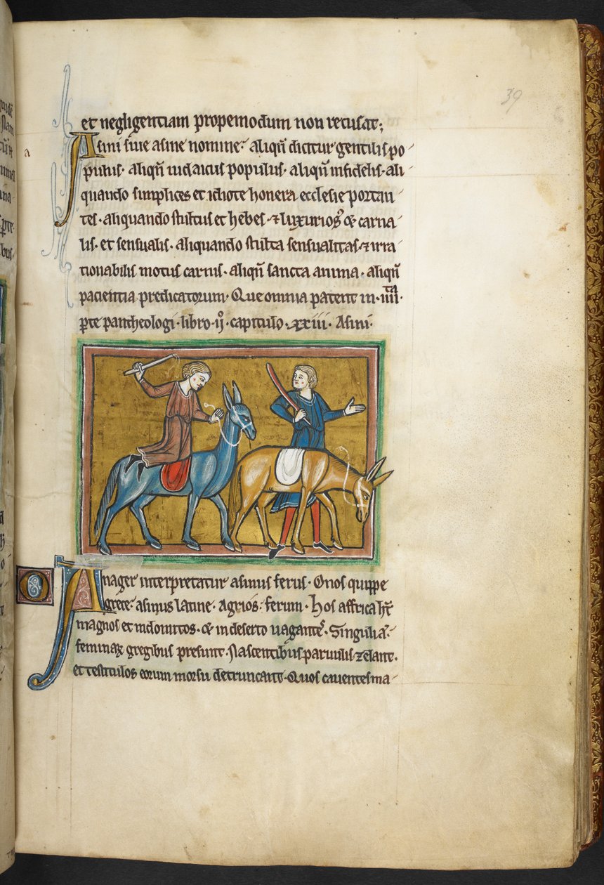 Royal 12 F.XIII, f.39   Kaksi miestä ja kaksi miestä aasilla. , Bestiarysta (ff. 3-141), Lapidarysta (ff. 141v-149)  , 1200-luvun toinen neljännes (vellum) tekijältä English School