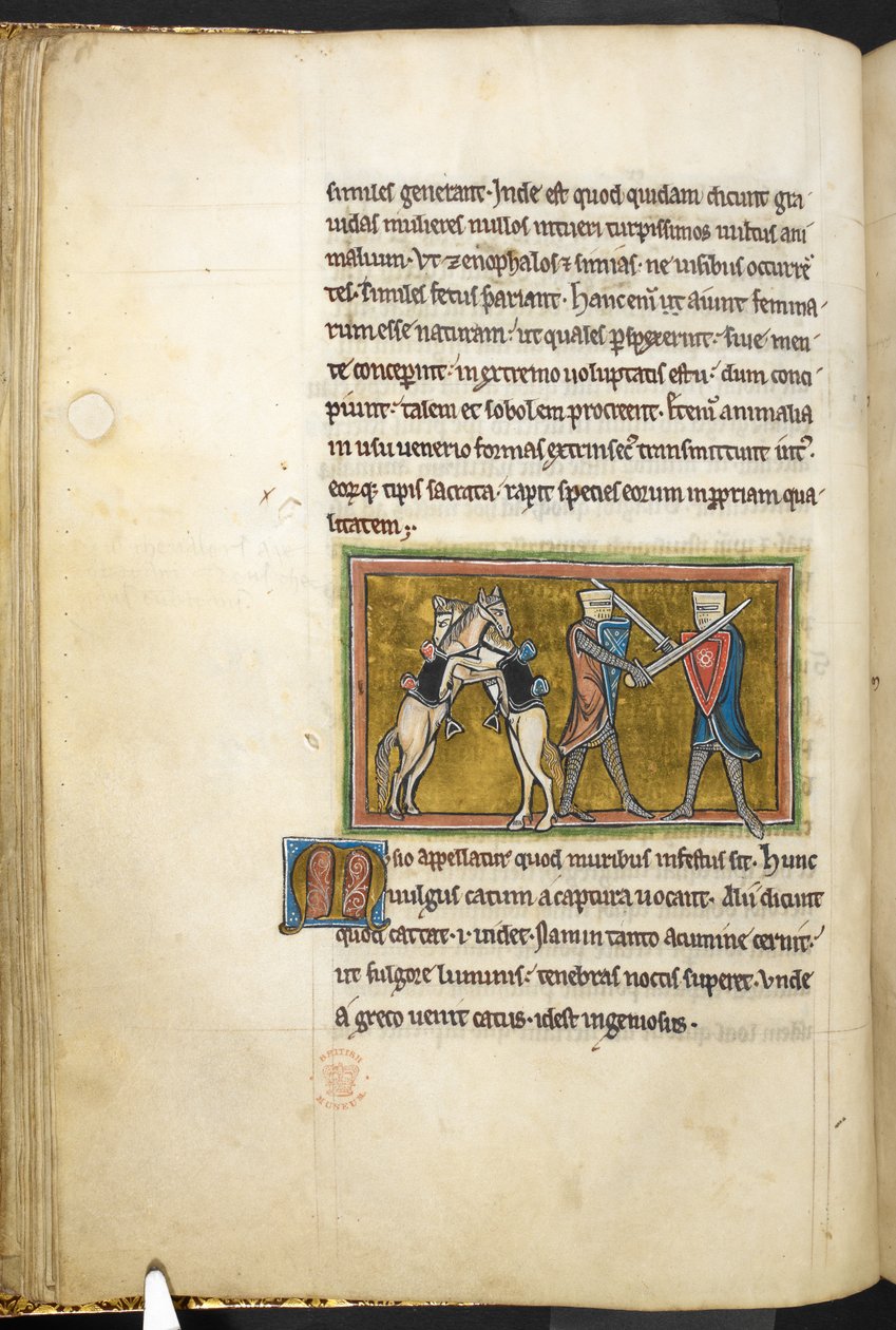 Royal 12 F.XIII, f.42v Kaksi ritaria taistelevat jalkaisin miekkojen kanssa, kun taas heidän hevosensa taistelevat toisiaan vastaan takajaloilla. , Bestiarysta (ff. 3-141), Lapidarysta (ff. 141v-149)  , 1200-luvun toinen neljännes (vellum) tekijältä English School