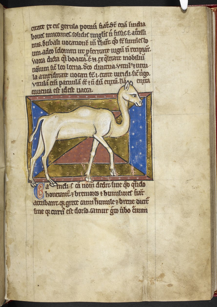 Royal MS 12 C XIX, f.33r Camel, 