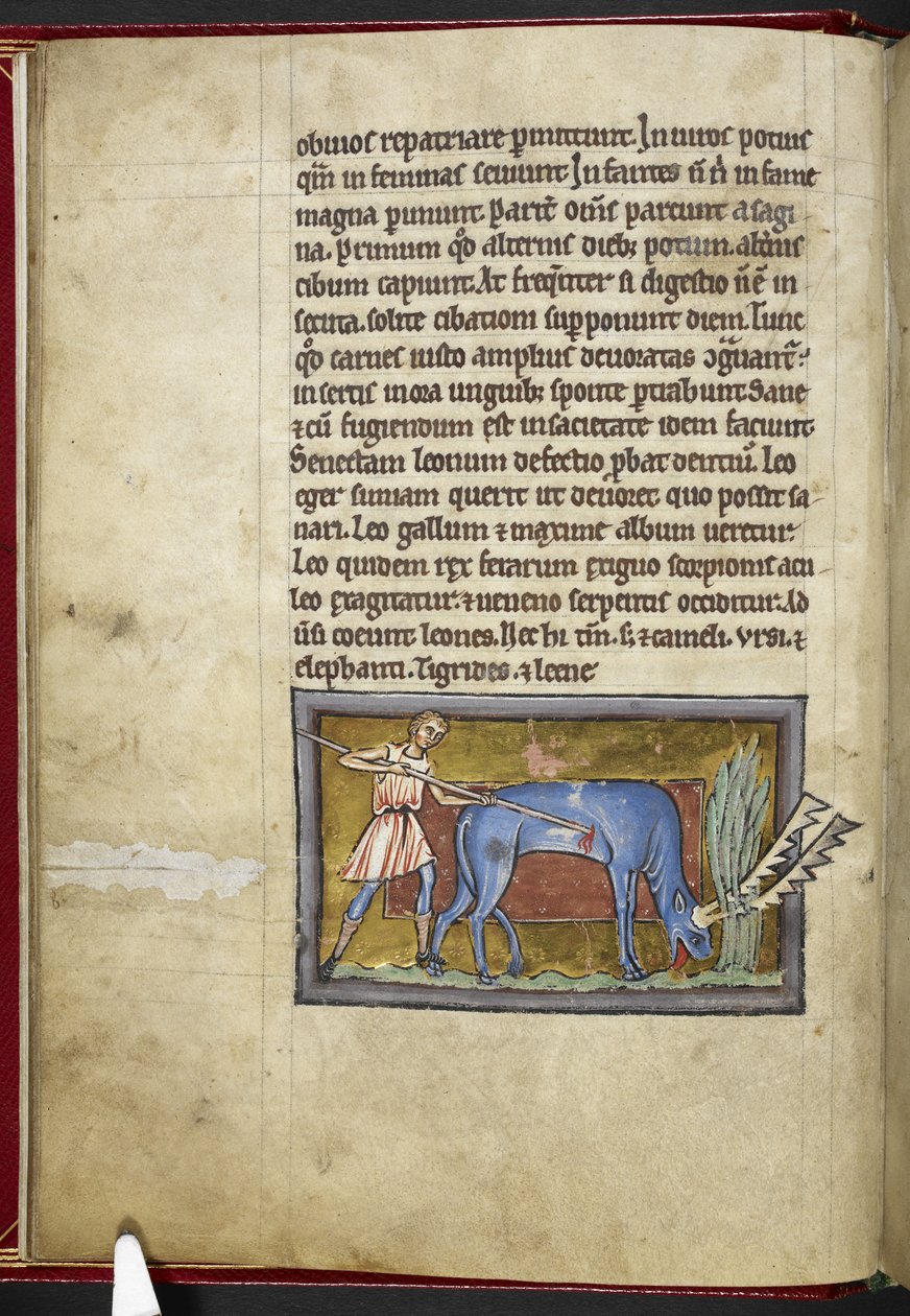 Royal MS 12 C XIX, f.7v Antelope, 