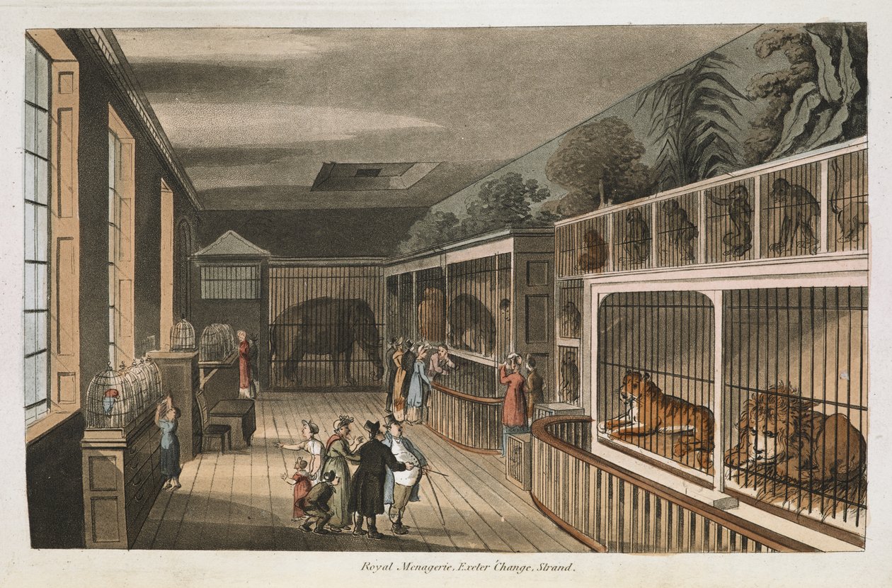Kuninkaallinen eläintarha, Exeter (Change Exchange), Strand.Valitse Lontoon näkymät: historiallisia ja kuvailevia luonnoksia joistakin kiinnostavimmista julkisista rakennuksista / J.B. Papworthin kokoama ja järjestämä. John Buonarotti PapworthLontoo tekijältä English School