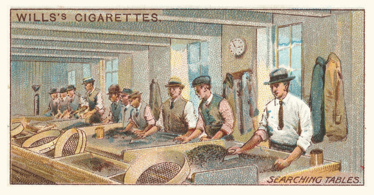 Hakutaulukot (chromolitho) tekijältä English School