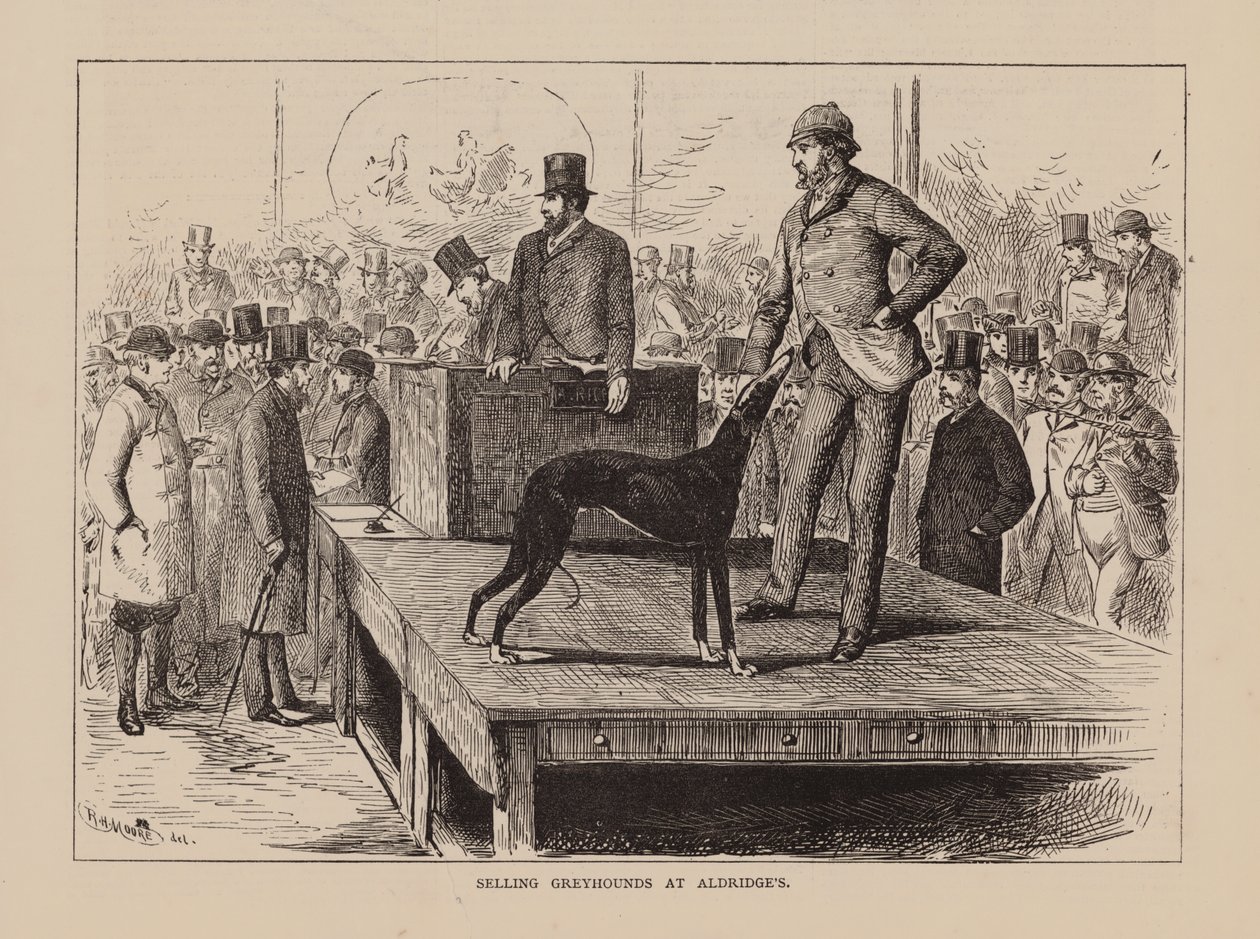 Greyhoundien myynti Aldridge