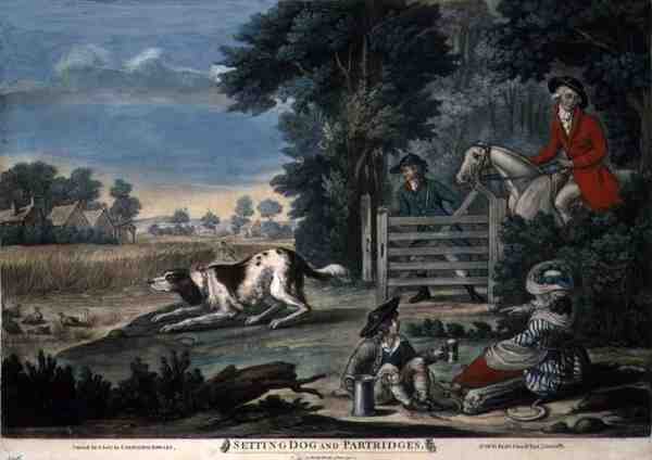 Setting Dog and Partridges, pub. kirjoittanut Carington Bowles (fl.1744-93) tekijältä English School