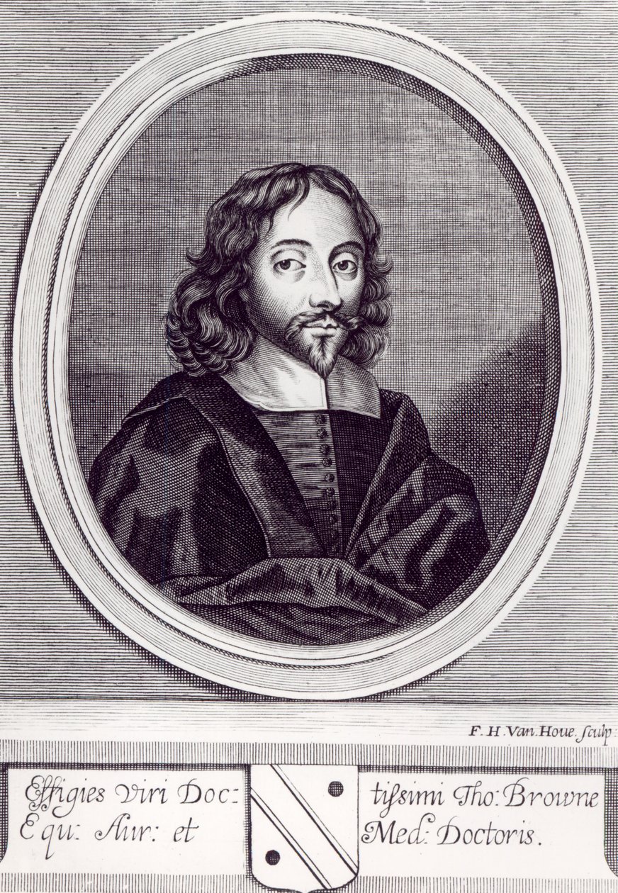 Sir Thomas Browne (1605-82), kaiverrus Frederick Hendrick van Hove (n. 1628-98) tekijältä English School