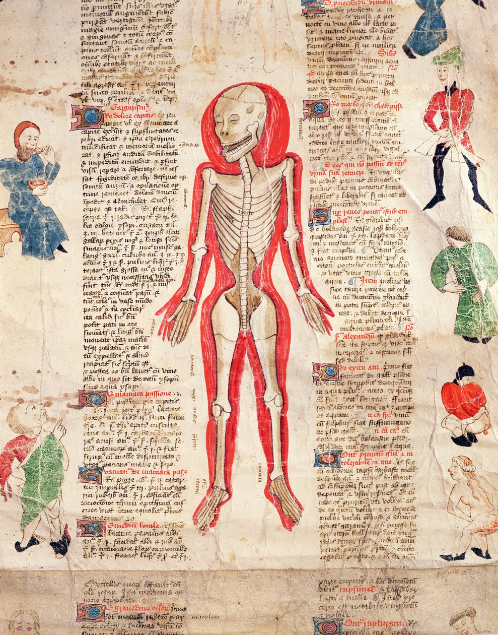 Luuranko, John Ardenen teoksesta De arte phisicali e de cirugia, 1412 tekijältä English School