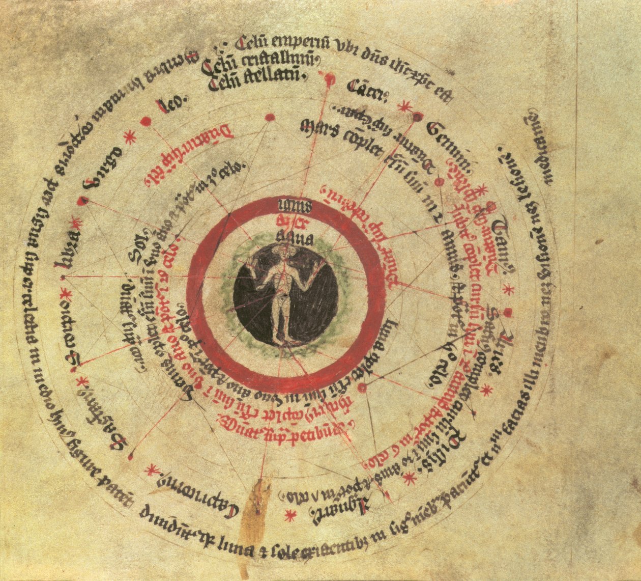 Sloane MS 282 fol.18 Mikrokosminen ihminen (vellum) tekijältä English School
