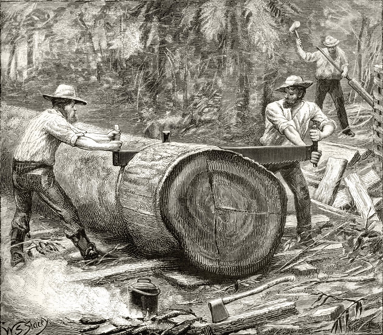 Splitters in the Bush, noin 1880, Howard Willoughbyn julkaisemasta teoksesta 