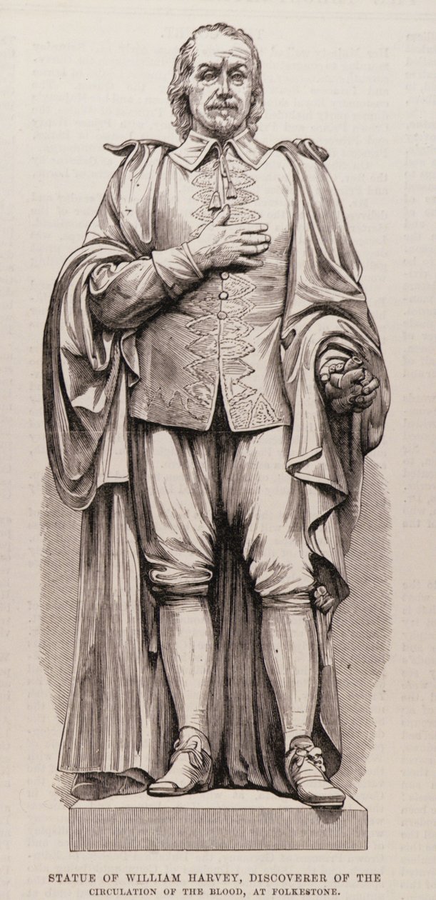 William Harveyn (1578-1657), verenkierron löytäjän patsas Folkestonessa, The Illustrated London News, 13. elokuuta 1881 tekijältä English School