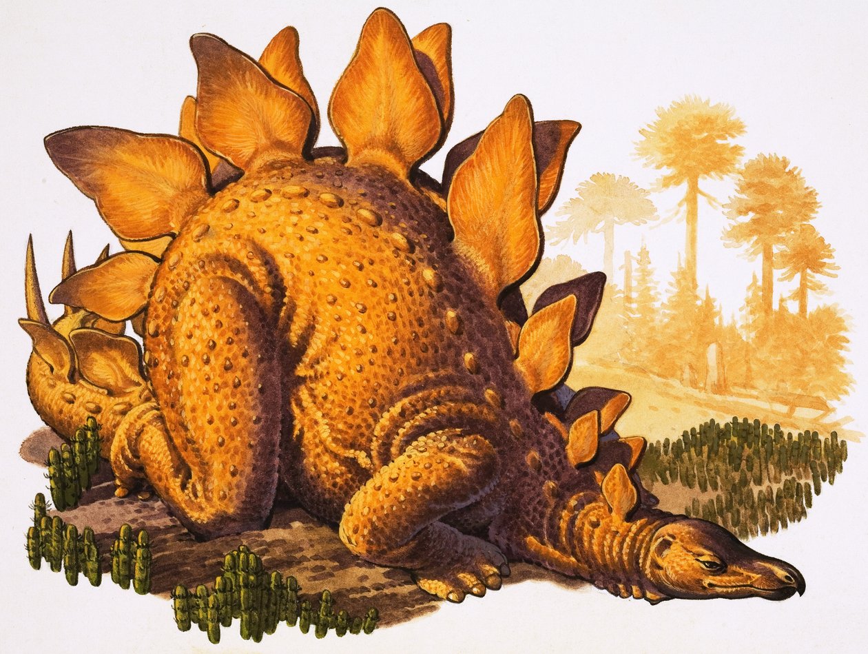 Stegosaurus (guassi paperille) tekijältä English School