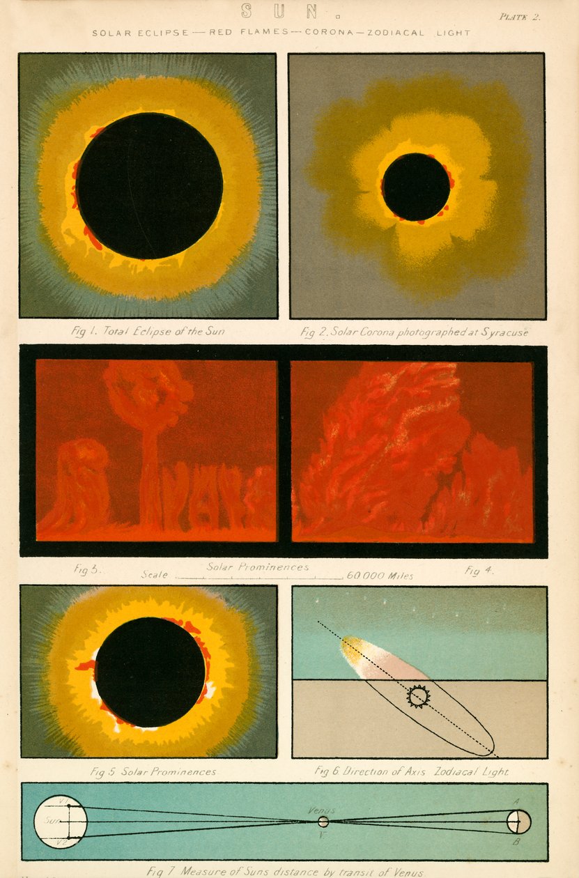 Aurinko (värilitografia) tekijältä English School