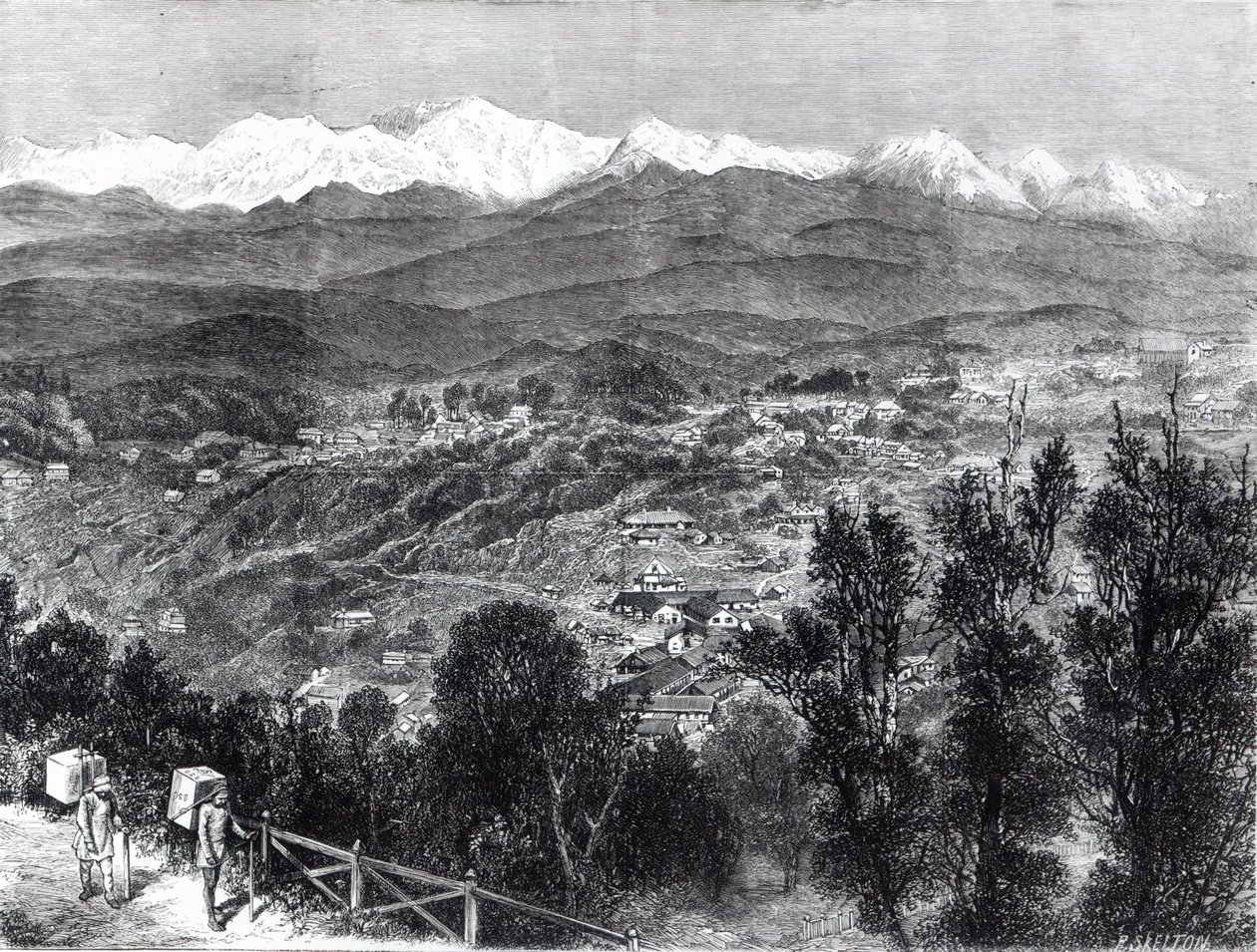 Teen viljely Britti-Intiassa - Näkymä Darjeelingiin etelästä, 1876 tekijältä English School