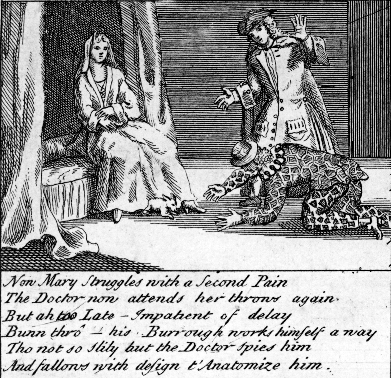 The Doctor in Labour tai New Whim Wham Guildfordista, n. 1726 tekijältä English School