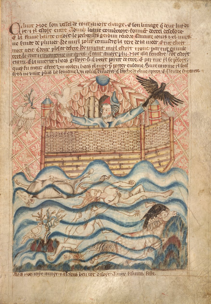 Kyyhkynen ja korppi, Holkham Bible Picture Bookista, n. 1320-30 (akvarelli paperille) tekijältä English School