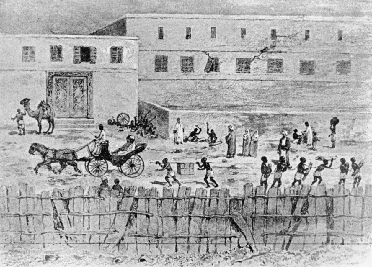 The Esplanade, Zanzibar, teoksesta "Arabit ja afrikkalaiset", kirjoittanut Septimus Tristram Pruen tekijältä English School