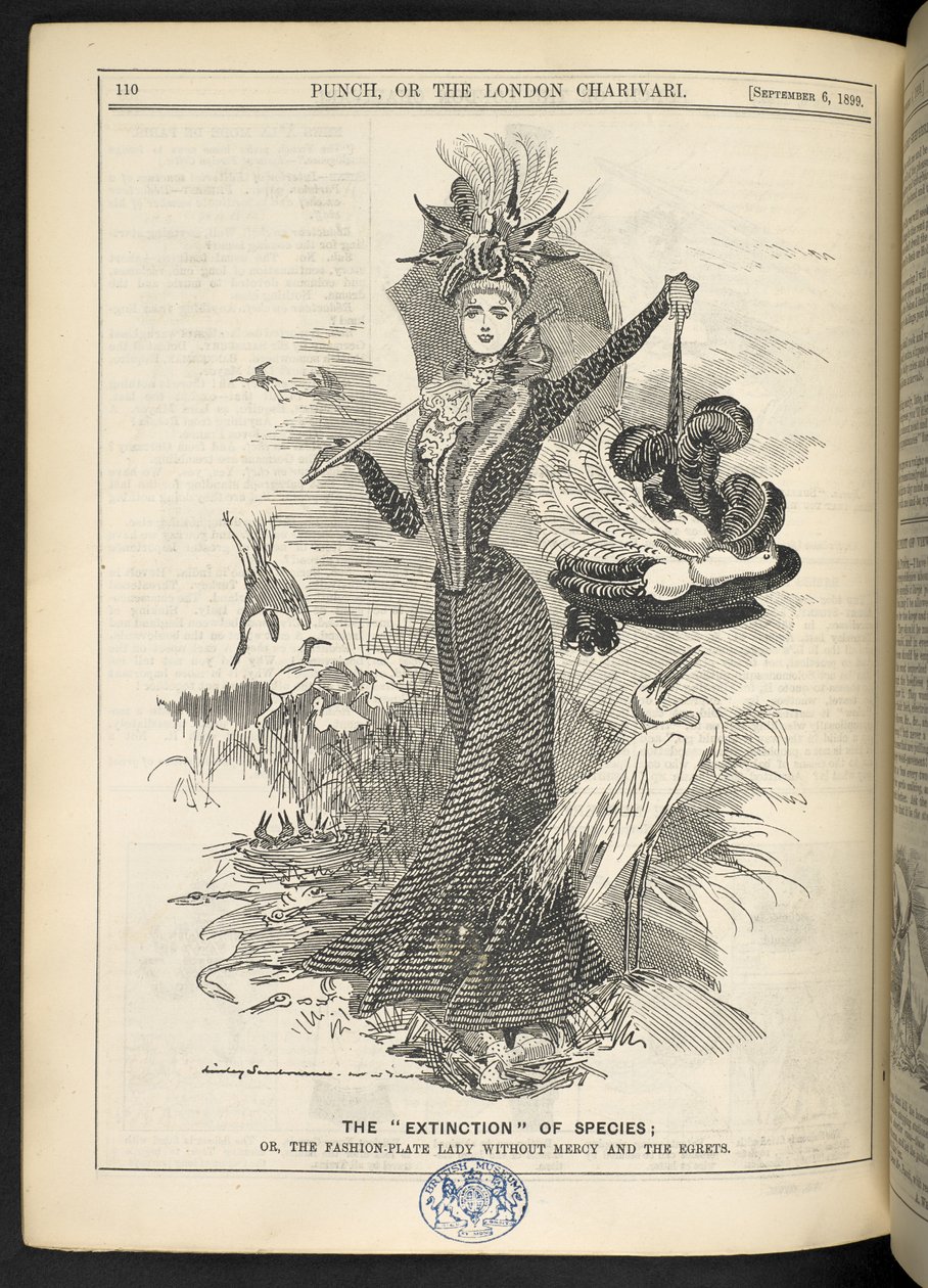 Lajien "sukpuutto"; Tai muotilevynainen ilman armoa ja jalohaikarat, "Punch, or the London Charivari", 6. syyskuuta 1899 (kaiverrus) tekijältä English School