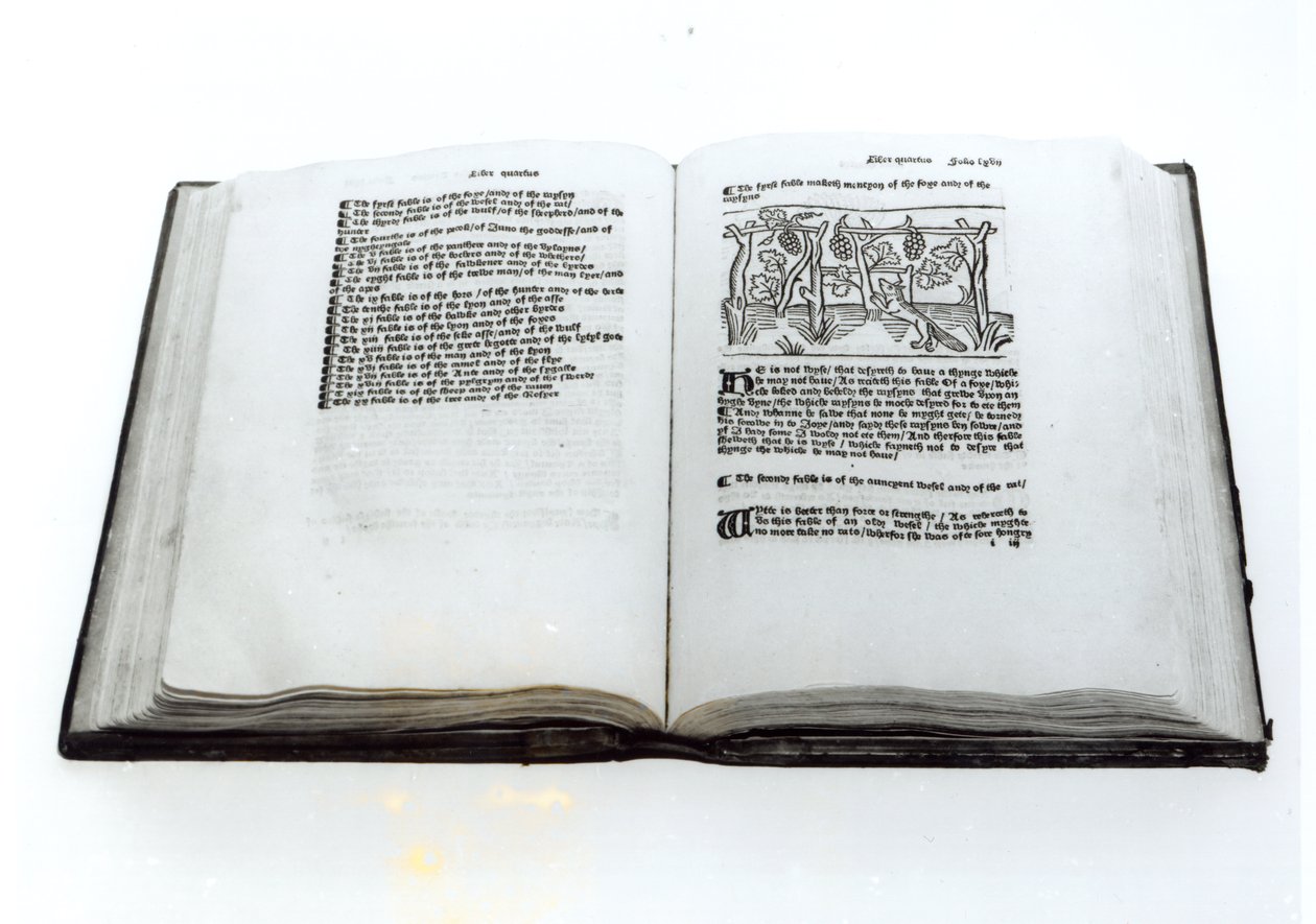 Kettu ja viinirypäleet, William Caxtonin (n. 1422-1491) kuvitetusta käännöksestä Aesops Fables -kirjasta 1434 tekijältä English School